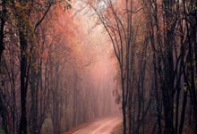 乐鱼体育:2024-2025吉林国际高山/单板滑雪挑战赛总决赛落幕2025-01-13.