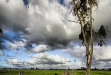 乐鱼体育：[NBA]基迪三双 公牛客场逆转热火.