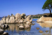 乐鱼体育：[棋牌]乐弈场第41场周赛 辛俊浩斩获积分实力双榜冠军.